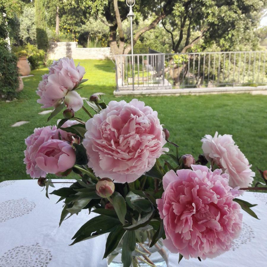 Provence Dodo Bed and Breakfast Villeneuve  Exteriör bild